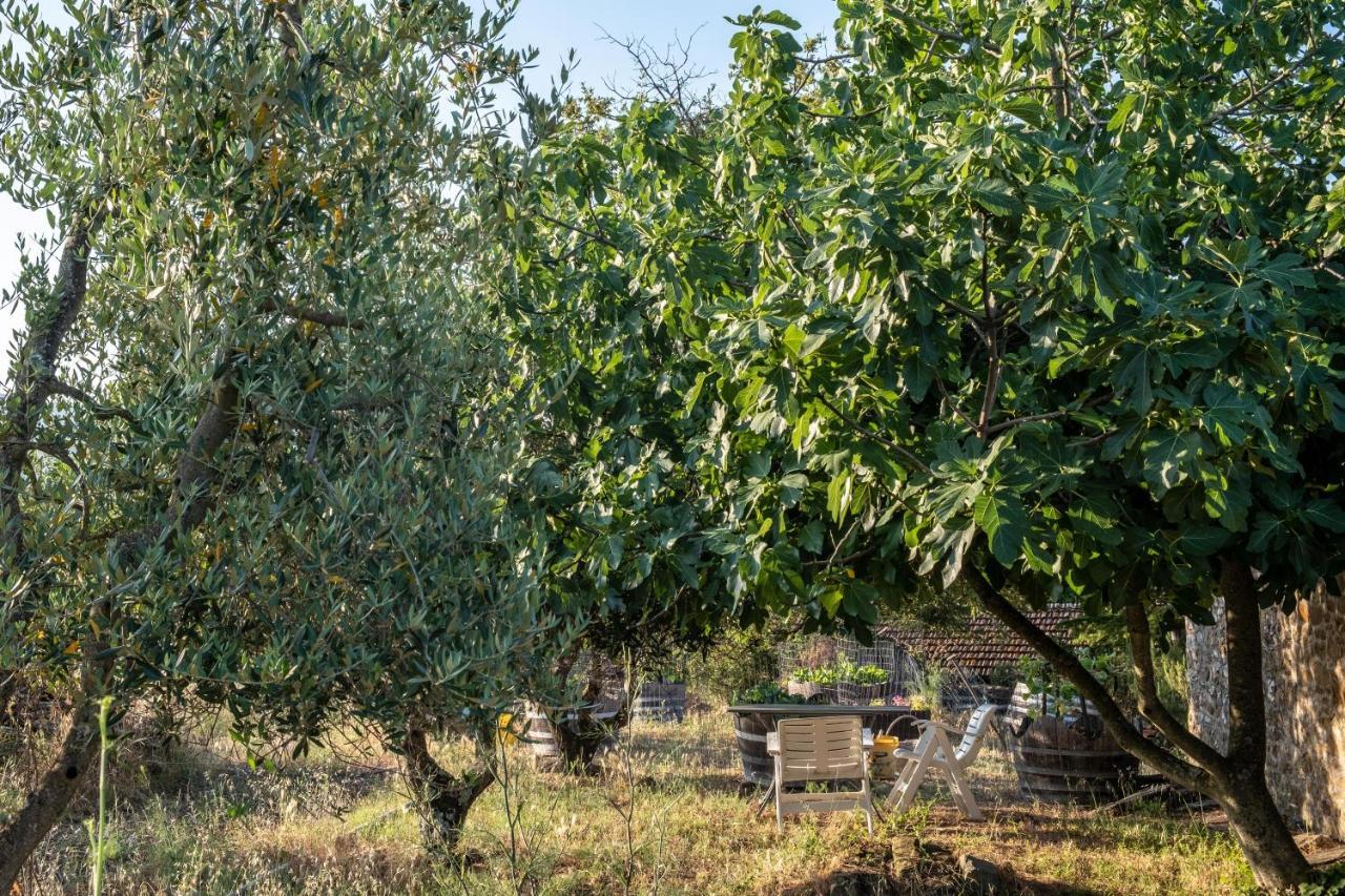 Podere Pruneto 拉达因基安蒂 外观 照片