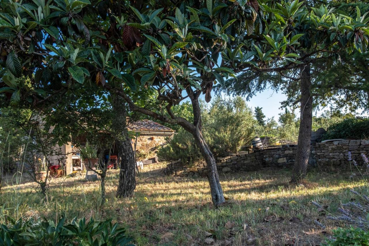 Podere Pruneto 拉达因基安蒂 外观 照片
