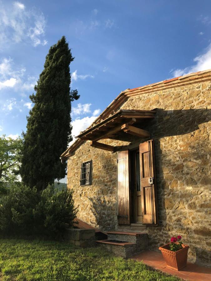 Podere Pruneto 拉达因基安蒂 外观 照片