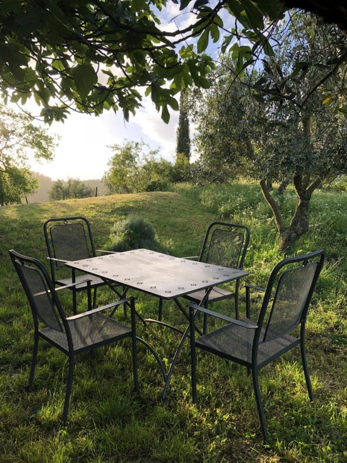 Podere Pruneto 拉达因基安蒂 外观 照片
